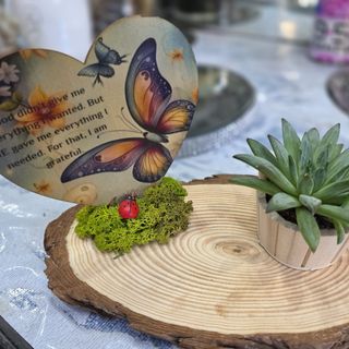 Pianta grassa a tavolino