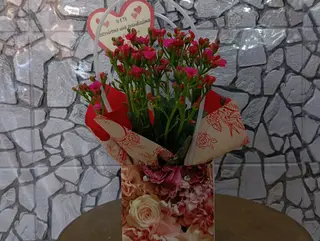 Kalanchoe nel cuore