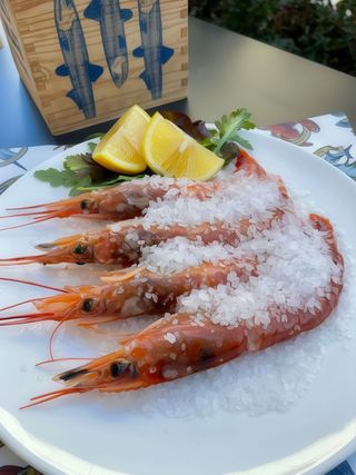 Gamberoni in salsa cockteil