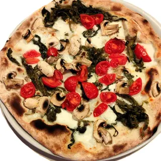 Friariella