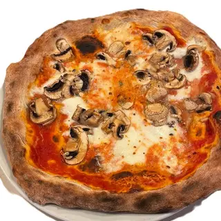 Funghi freschi