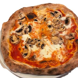 Funghi freschi
