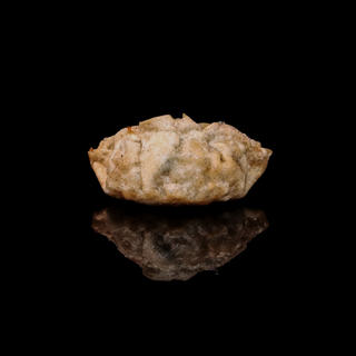 Gyoza fritto - 4 pezzi