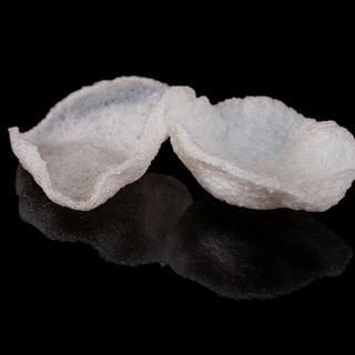 Nuvolette di gamberi