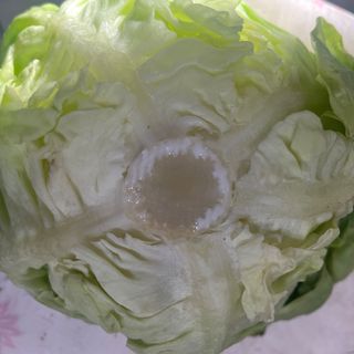 Romanella
