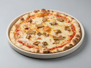 Funghi porcini 
