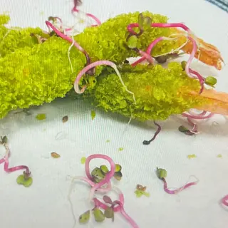 Gamberi con salsa e rucola