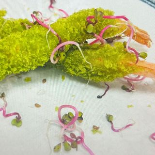 Gamberi con salsa e rucola