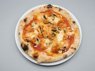 Funghi