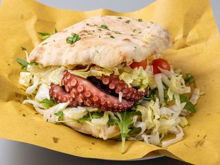 Puccia octopus