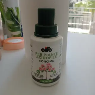 Concimi per acidofile