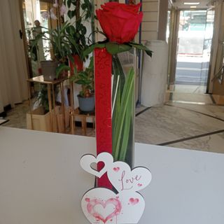 Rosa stabilizzata singola