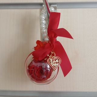 Rosa stabilizza con porta chiavi