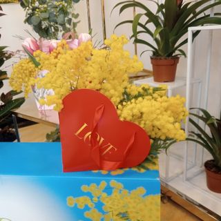 Borsa cuore con mimosa