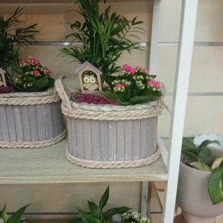 Composizione in legno 