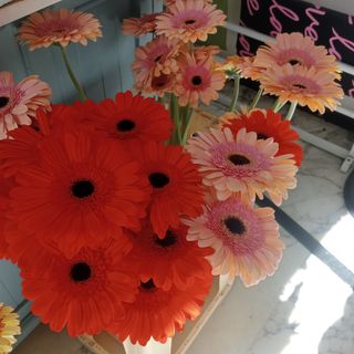 Bouquet di gerbere misto