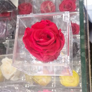 Cubo con rosa