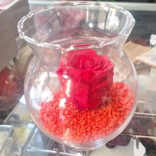 Vaso in vetro con rosa stabilizzata