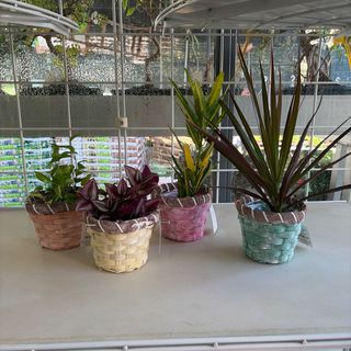 Mix verde