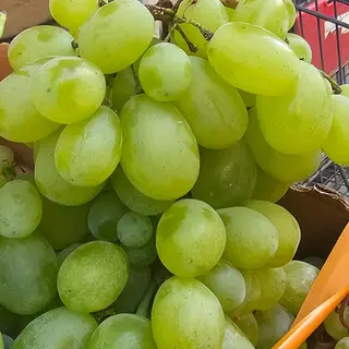 Uva al kg