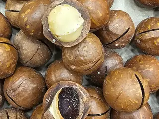 Noci macadamia