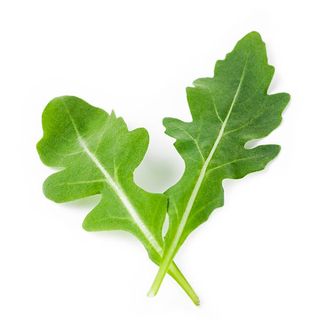 Rucola