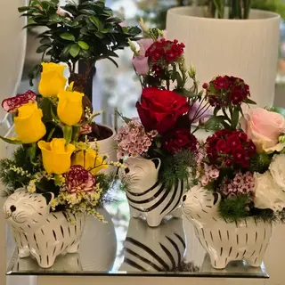 Gattini in fiore
