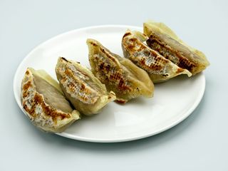 R2  ravioli piastra 5pz