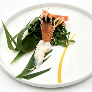SA11s Scampi 1PZ