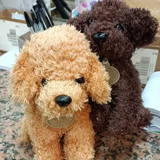graziosi barboncini di peluche