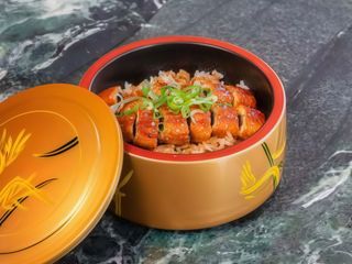 Unagi don