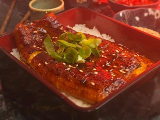 Unagi don