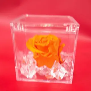 rosa stabilizzata durata 5 anni color arancio