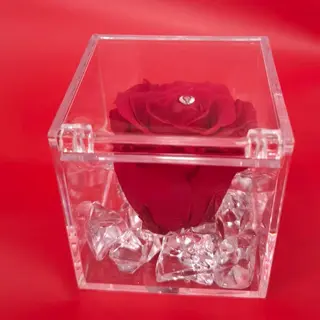 rosa rossa stabilizzata