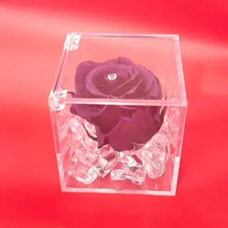 rosa stabilizzata durata 5 anni viola scuro