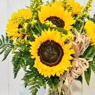 girasoli