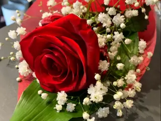 1 rosa rossa