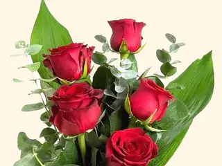 5 rose rosse