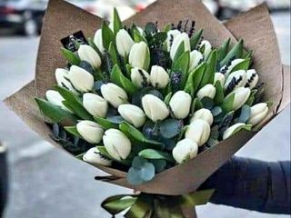 15 tulipani ben confezionati e in vari colori a scelta del fiorista