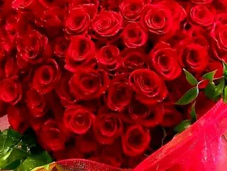 100 rose rosse top gold con peluche grande in omaggio