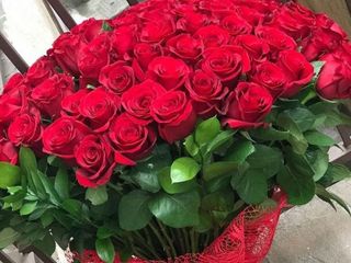 50 rose rosse top con peluche in omaggio