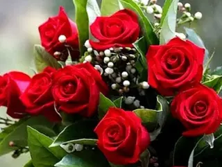 9 rose rosse
