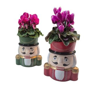 Schiaccianoce in ceramica