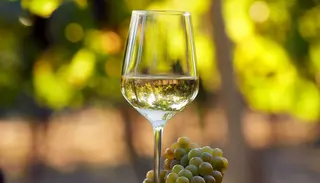 Vermentino
