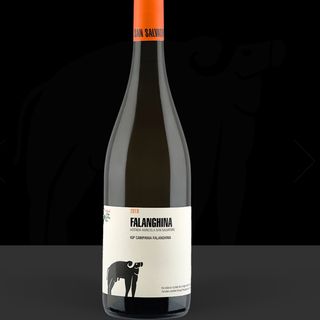 Falanghina “San Salvatore” IGP