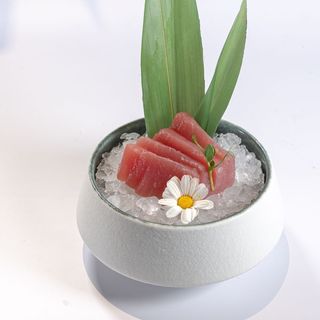 B021 - Sashimi Tuna