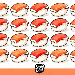 N501 - Nigiri Sake 20 pezzi