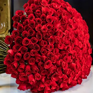 500 Red Roses Bouquet