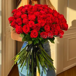 Sinfonia Red Bloom