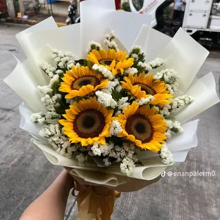 Girasole with Gypso